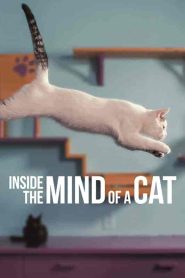 فيلم Inside the Mind of a Cat 2022