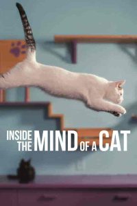 فيلم Inside the Mind of a Cat 2022