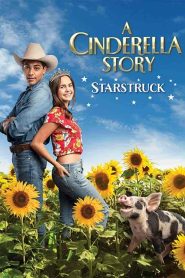 فيلم A Cinderella Story: Starstruck 2021
