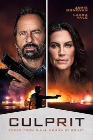 فيلم Culprit 2025