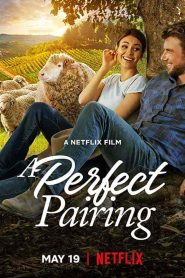 فيلم A Perfect Pairing 2022
