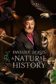فيلم Fantastic Beasts: A Natural History 2022