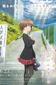 فيلم Seishun Buta Yarou wa Odekake Sister no Yume wo Minai 2023