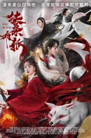 فيلم Fox in Fuso 2020