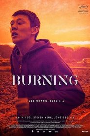 فيلم Burning 2018