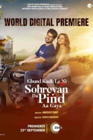 فيلم Sohreyan Da Pind Aa Gaya 2022