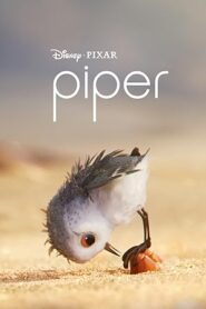 فيلم Piper 2016