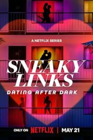 برنامج Sneaky Links Dating After Dark