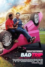 فيلم Bad Trip 2020