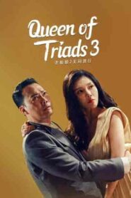 فيلم Queen of Triads 3 2022