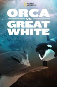 فيلم Orca vs. Great White 2021