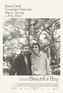 فيلم Beautiful Boy 2018
