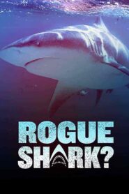فيلم Rogue Shark 2021