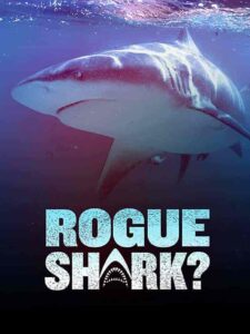 فيلم Rogue Shark 2021
