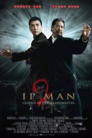فيلم Ip Man 2 2010