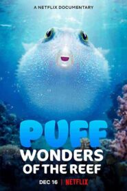 فيلم Puff Wonders of the Reef 2021