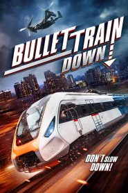 فيلم Bullet Train Down 2022