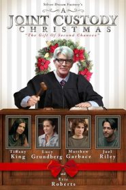 فيلم A Joint Custody Christmas 2025
