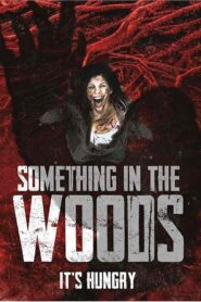 فيلم Something in the Woods 2022