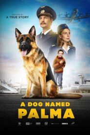 فيلم Palma 2021