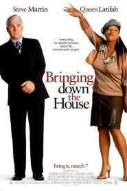 فيلم Bringing Down the House 2003