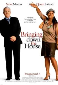 فيلم Bringing Down the House 2003