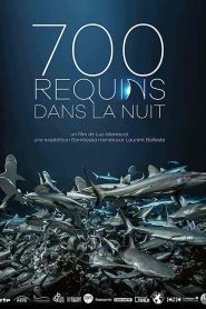 فيلم 700 requins dans la nuit 2018