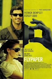 فيلم Flypaper 2011