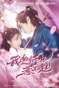 فيلم Fall in Love With My Badboy 2020