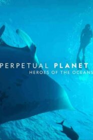 فيلم Perpetual Planet: Heroes of the Oceans 2021