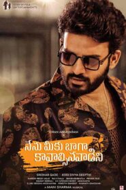 فيلم Nenu Meeku Baaga Kavalsinavaadini 2022