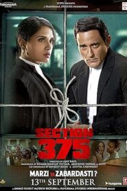 فيلم Section 375 2019