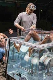 فيلم Jackass 4.5 2022