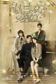فيلم Fall in Love With Fox 2019
