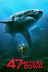 فيلم 47 Meters Down 2017