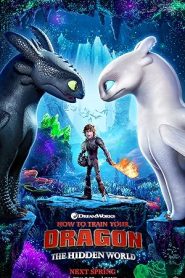 فيلم How to Train Your Dragon- The Hidden World مدبلج