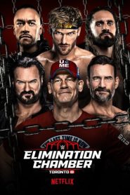 عرض WWE Elimination Chamber 2025
