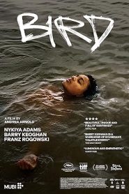 فيلم Bird 2024