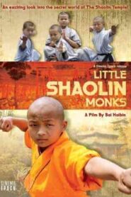 فيلم Shaolin boy 2021