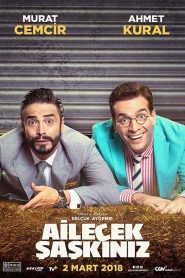فيلم فوضى العائلة والمال Ailecek Saskiniz 2018