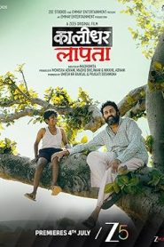 فيلم Kaalidhar Laapata 2025