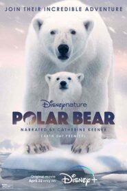 فيلم Polar Bear 2022