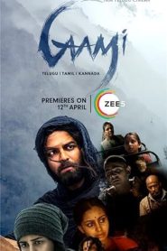 فيلم Gaami 2024