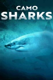 فيلم Camo Sharks 2022