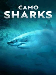 فيلم Camo Sharks 2022