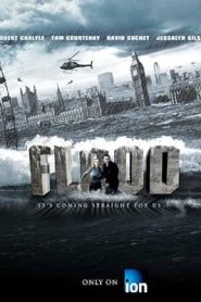فيلم Flood