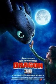فيلم How to Train Your Dragon 2010