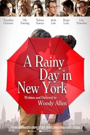فيلم A Rainy Day in New York 2019