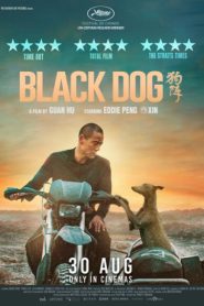 فيلم Black Dog 2024