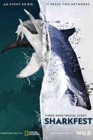 فيلم Man vs. Shark 2019